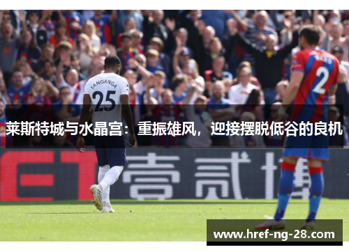 莱斯特城与水晶宫:重振雄风,迎接摆脱低谷的良机 莱斯特城与水晶宫:重振雄风,迎接摆脱低谷的良机